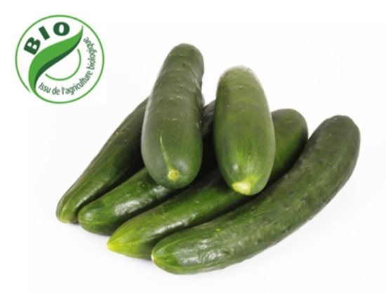 Image de Concombre lisse - (Au Kg)