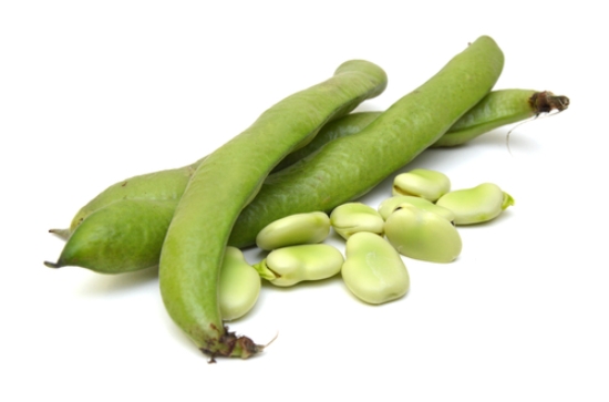 Image de Fèves Aguadulce - (Au Kg)