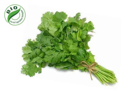 Image de Coriandre - (à la botte)