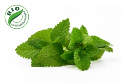 Image de Menthe Timijja - (100g)