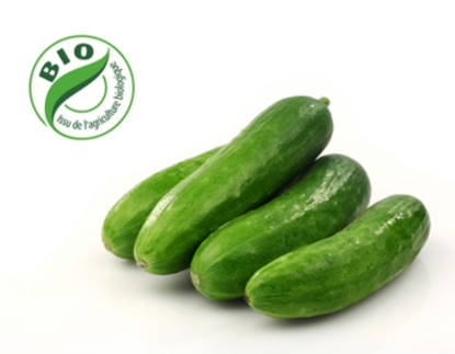 Image de Mini concombre - (500g)