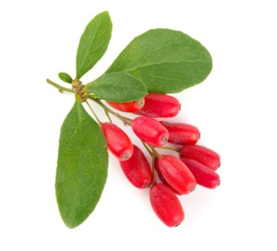 Image de Baies de Goji - (100g)