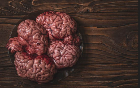 Image de Cervelle de bœuf - (à l'unité)