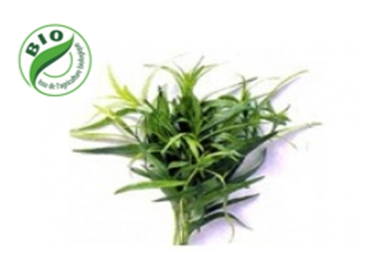 Image de Estragon - (100g)