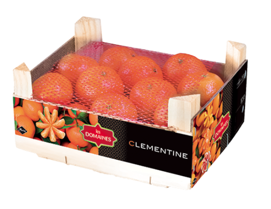 Image de Clémentine - (2.3 Kg)