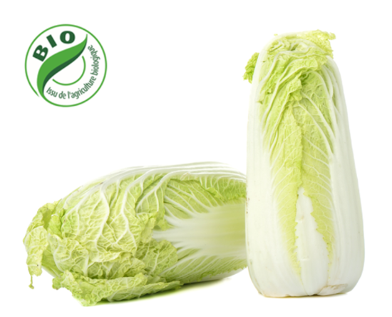 Image de Chou chinois Pe-Tsaï - (à l'unité)
