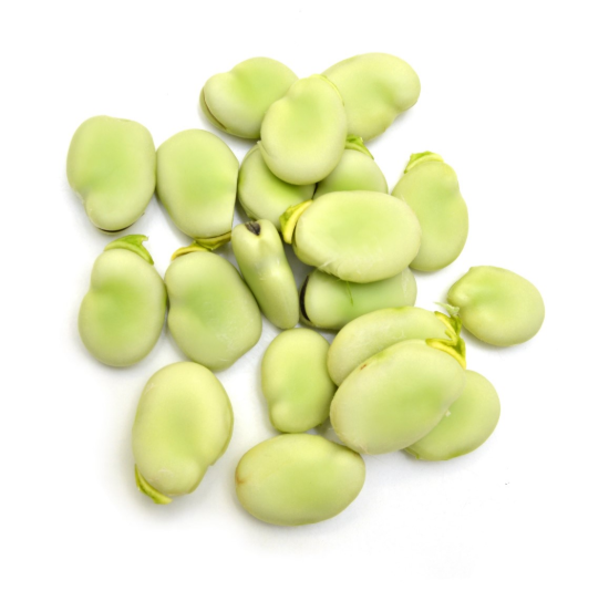 Image de Fèves écossées - (à l'unité)