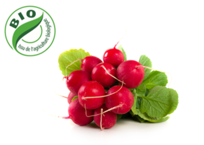 Image de Radis rouge - (250g)