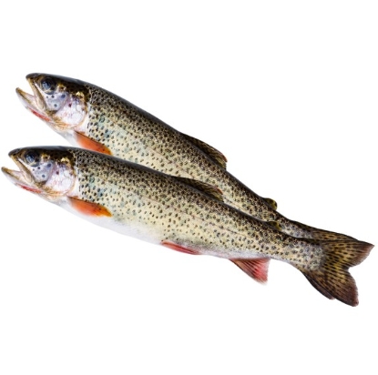 Image de Truite fraîche - double (360 à 500g)